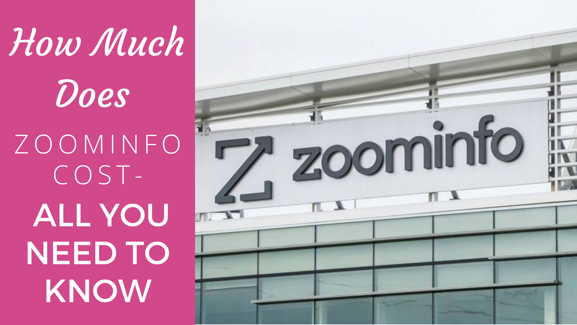 How Much Does ZoomInfo Cost All You Need To Know